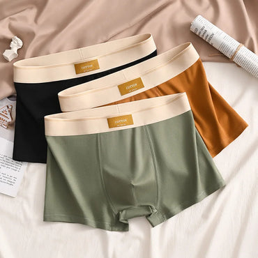 3PCS Men Underpants Man Cotton Comfortable Boxer